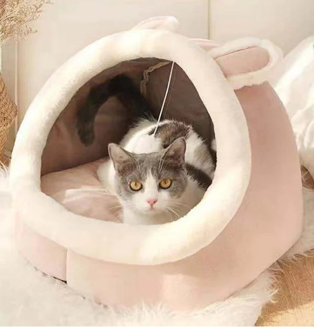 Petit Joy Nest -Cat & Dog